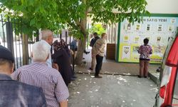 Uşak’ta Fındık Kuyruğu
