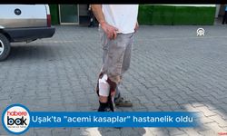 Uşak’ta “Acemi Kasaplar” hastanelik oldu