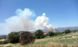 Gediz’deki yangına müdahale ediliyor