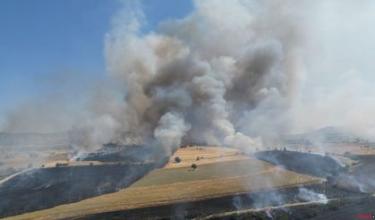 Manisa'da buğday tarlasında çıkan yangın Uşak - İzmir karayolunu bir süreliğine kapattı