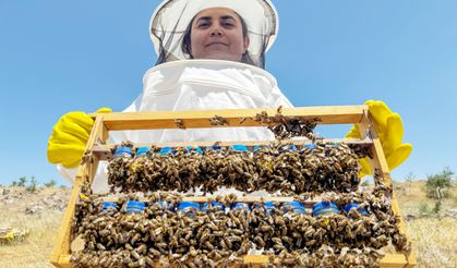 Uşaklı kadın girişimci “ana arı” üretiyor