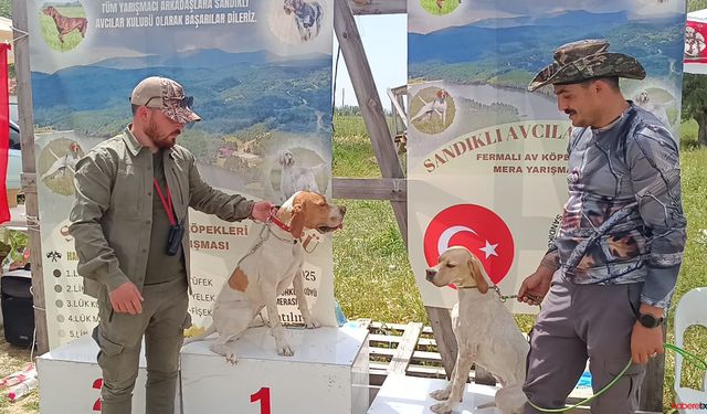 Av köpekleri mera yarışması düzenlendi