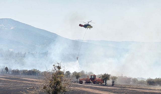 Uşak'ta tarlada başlayıp makilik alana sıçrayan yangın kontrol altına alındı