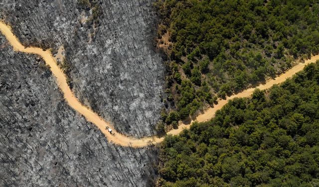 Uşak'ta 1 Haziran'dan bu yana 21 orman yangınına müdahale edildi