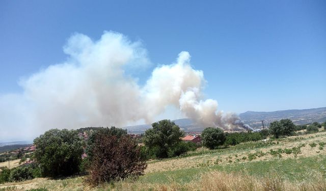 Gediz’deki yangına müdahale ediliyor