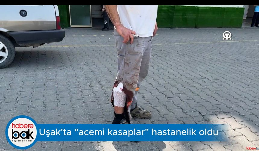 Uşak’ta “Acemi Kasaplar” hastanelik oldu